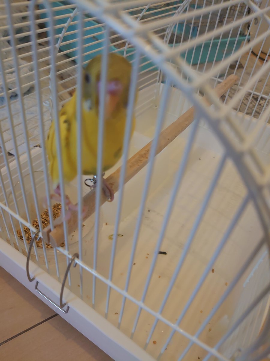 拡散お願いします