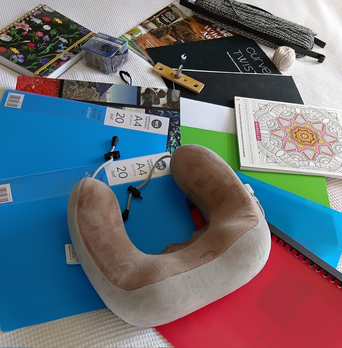 KiwiBiohacker's tweet image. 19 October: In the #minimalistgame today, there are leaflets, folders, a neck pillow, some small gizmos I have no need of, and paperwork I don't need either including a diary from 2023 that I never used.
#simplify #declutter