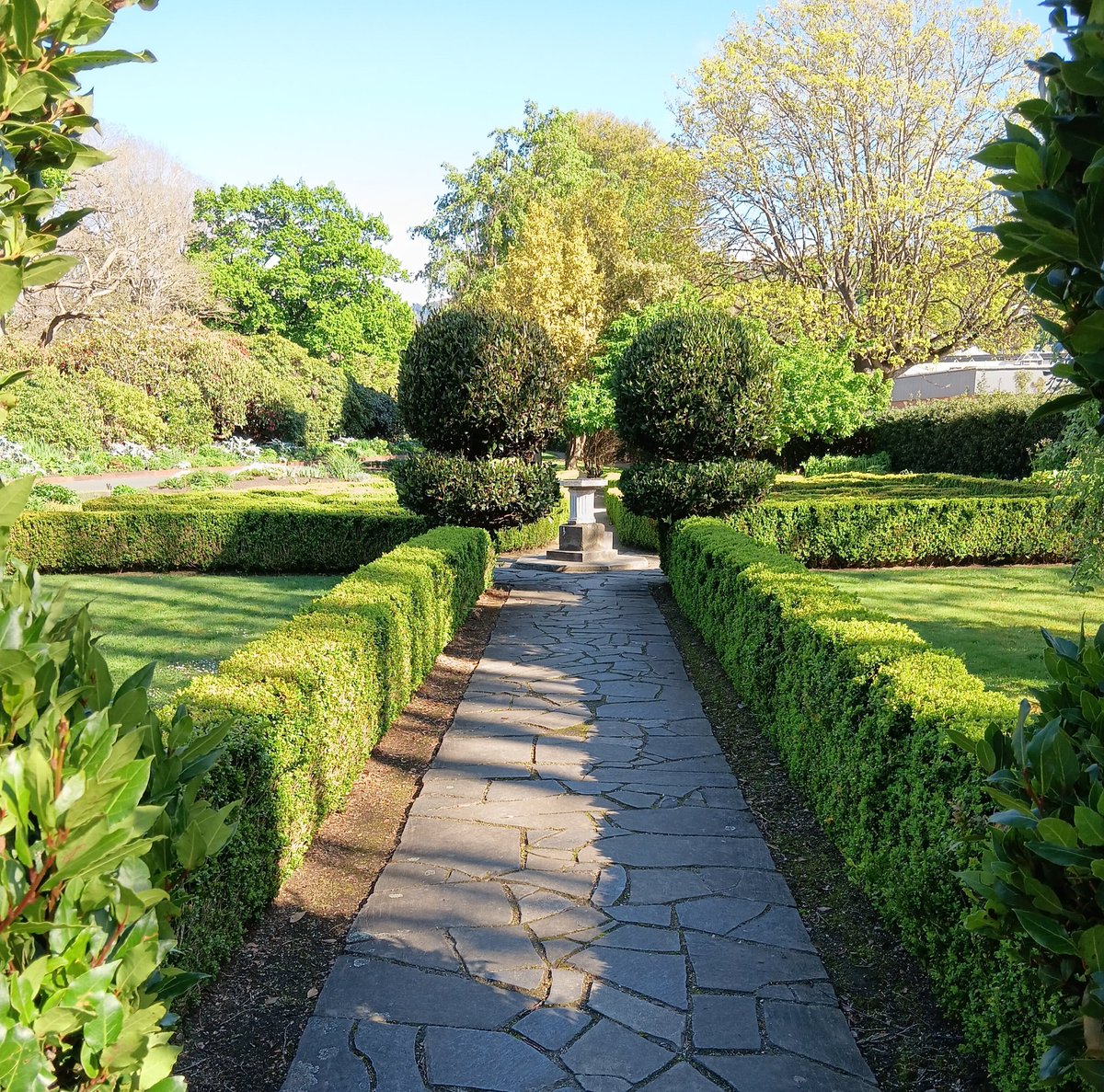 KiwiBiohacker's tweet image. I spent some of the morning at the #DunedinBotanicGardens.
It was perfect weather - people were even out with #pennyfarthing #bicycles!
#NewZealand