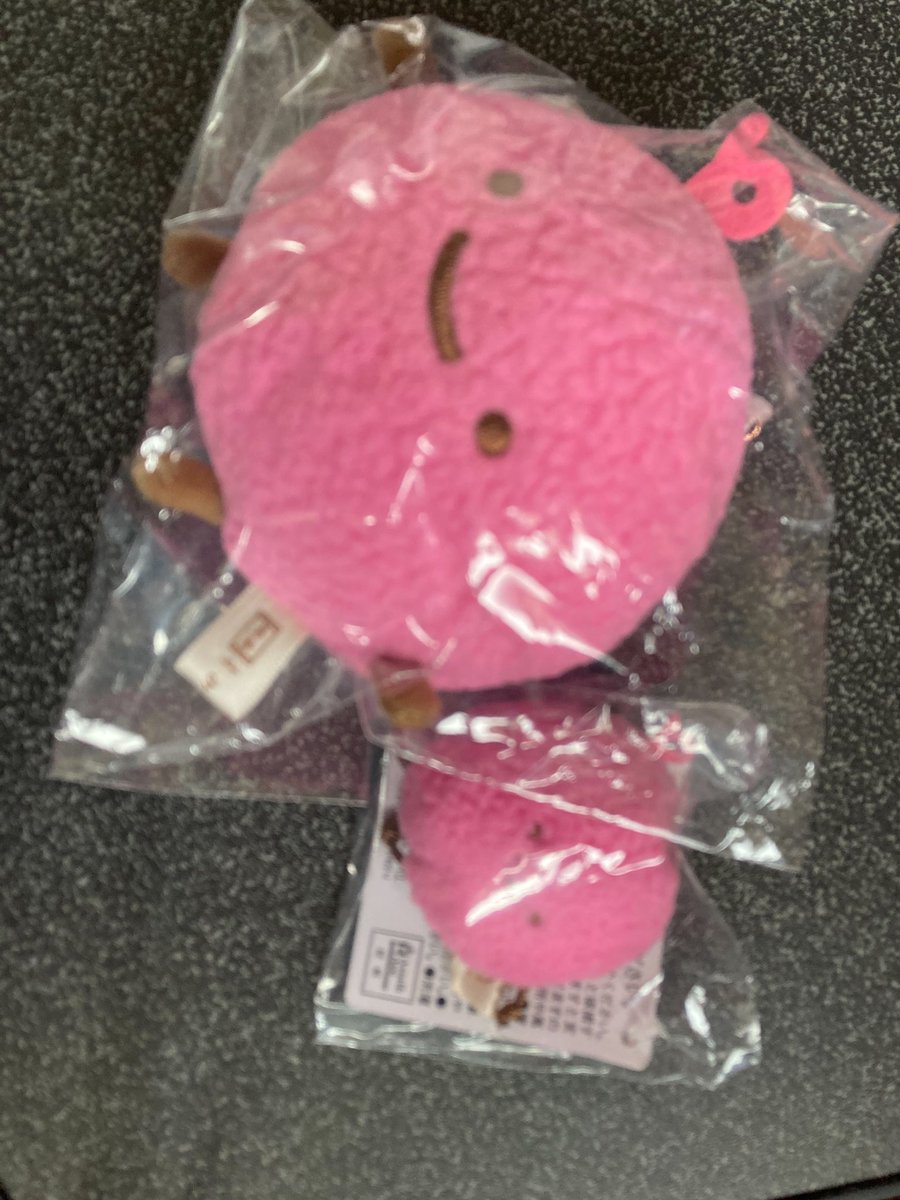 昨日、妻がすみショまで行って来てくれました(ありがと🙏)

やっぱZIP!効果は大きいな、かなり混んでたようです🈵

話変わりますが、映画すみっコ舞台挨拶回、フォロワーさんもかなり当選されているようで良かったです😌

またご挨拶できることを楽しみにしてます😄

#映画すみっコぐらし
#ZIP!