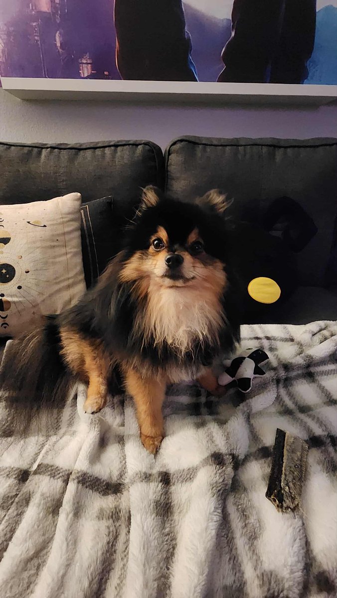 "are you staying for XX party?" 

No, sorry I want to go home to my dog 😭

Thank you everyone at Twitch Con who came to our event, got the chance to catch up with, or got the wonderful chance to meet! 💜