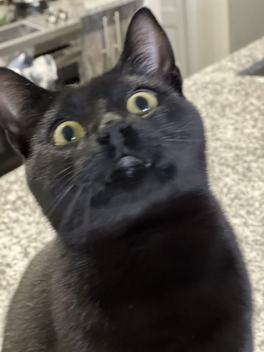 кatⱠink ˎˊ˗ tweet media