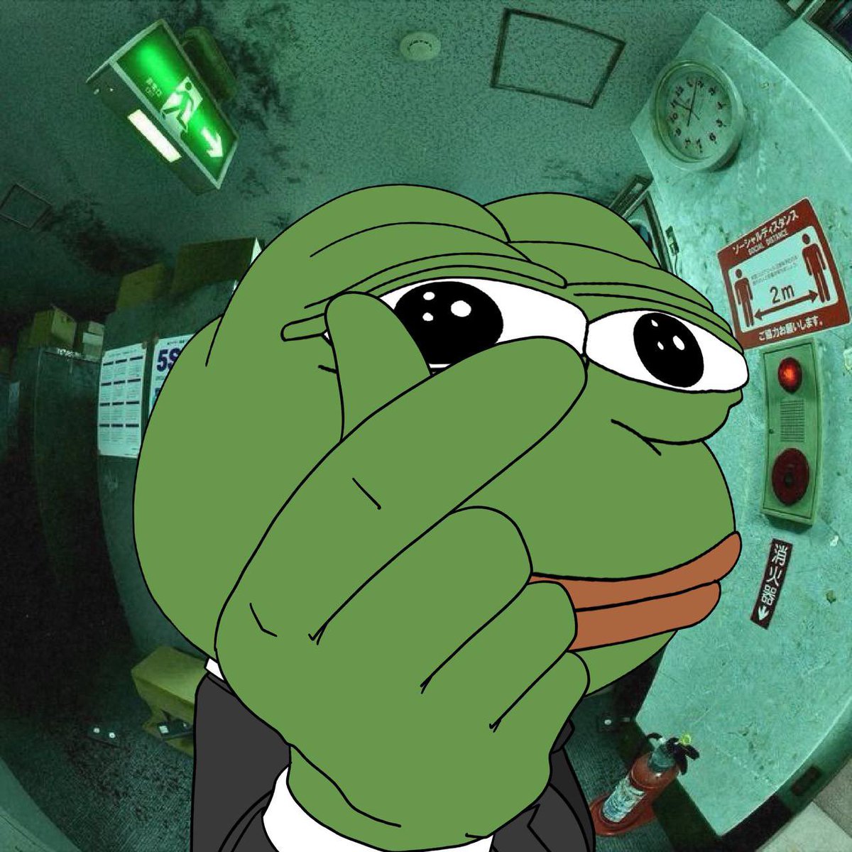 如果你相信meme，就要相信pepe.
GM. 🫰