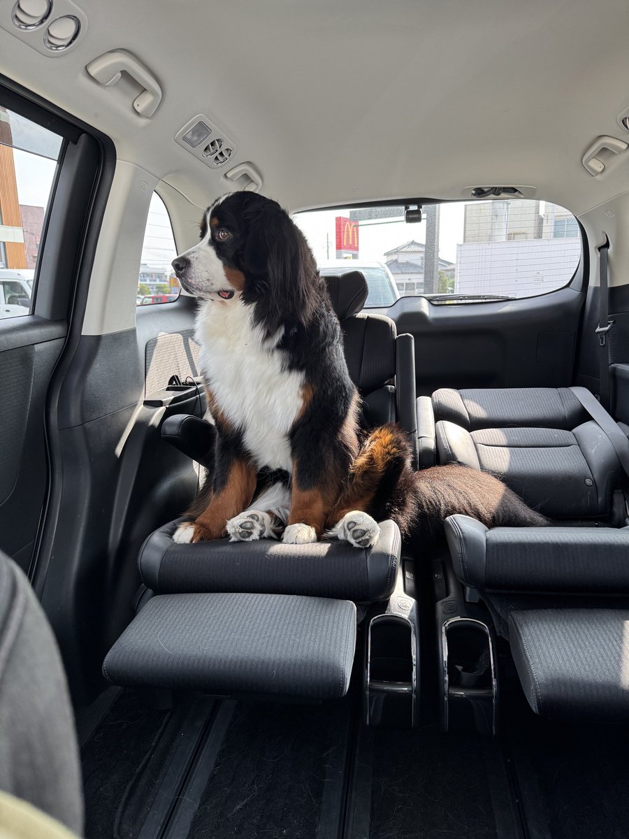 朝マック順番待ち