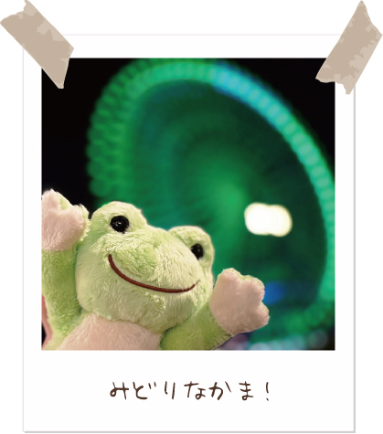 【Today’s pickles】#かえるのピクルス #picklesthefrog 
#todayspicklesofficial #萌蛙匹克 #泡菜青蛙
pickles-home.com/contest/
みんなでピクルスの写真を投稿しよう♪
応募期間：2025年10月01日〜2026年03月31日
結果発表：2026年5月上旬
