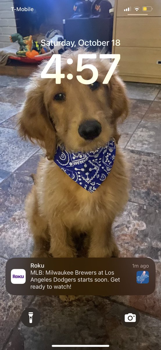 JordanBelmont6's tweet image. No one let the folks at Roku know that the dodgers swept the brewers therefore there is not a game today 😂 #dodgers #NLCS #WorldSeries #Roku