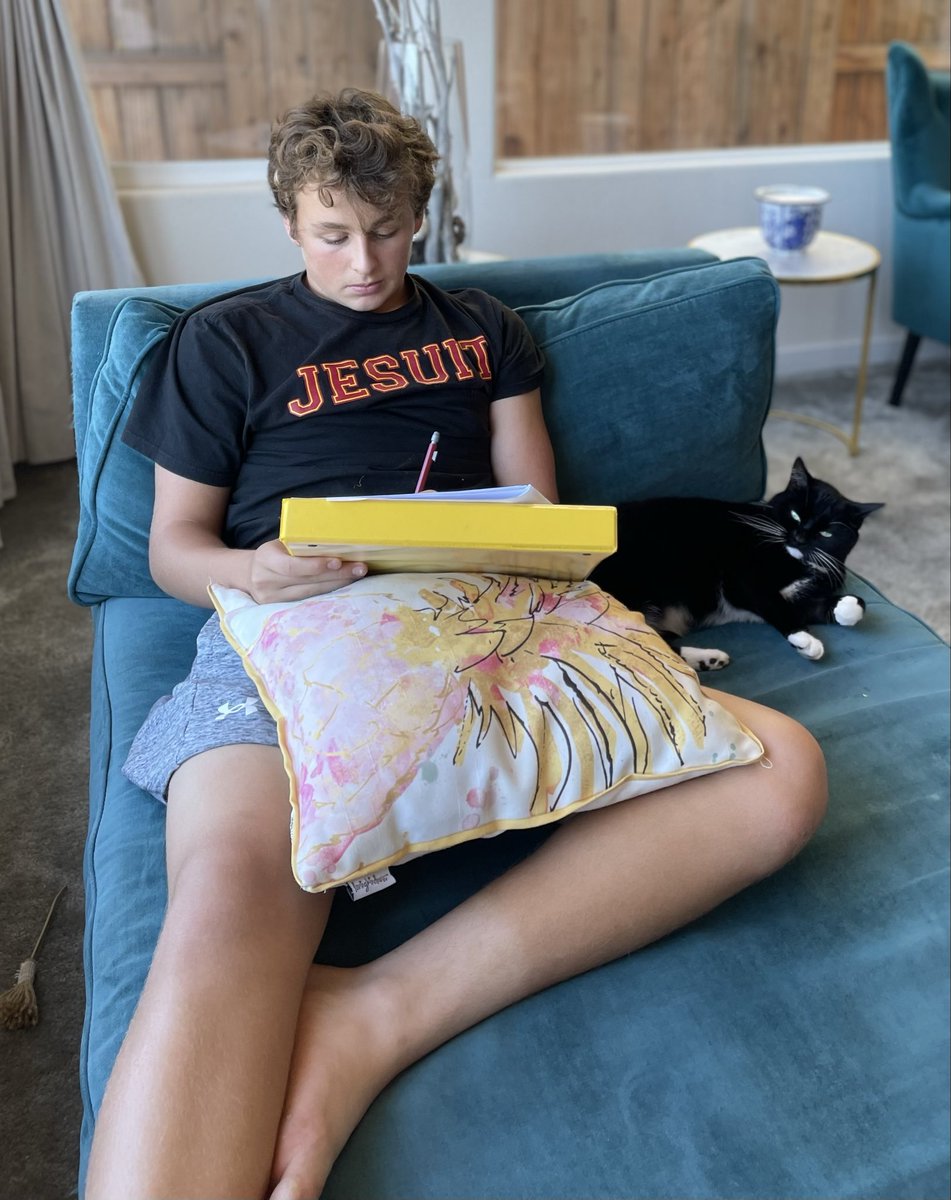AdrianAntonetti's tweet photo. Workin’ through the weekend with the best study buddy ever. 
#tuxedocat #studentathlete #Classof2029 https://t.co/USRFI57Hnn