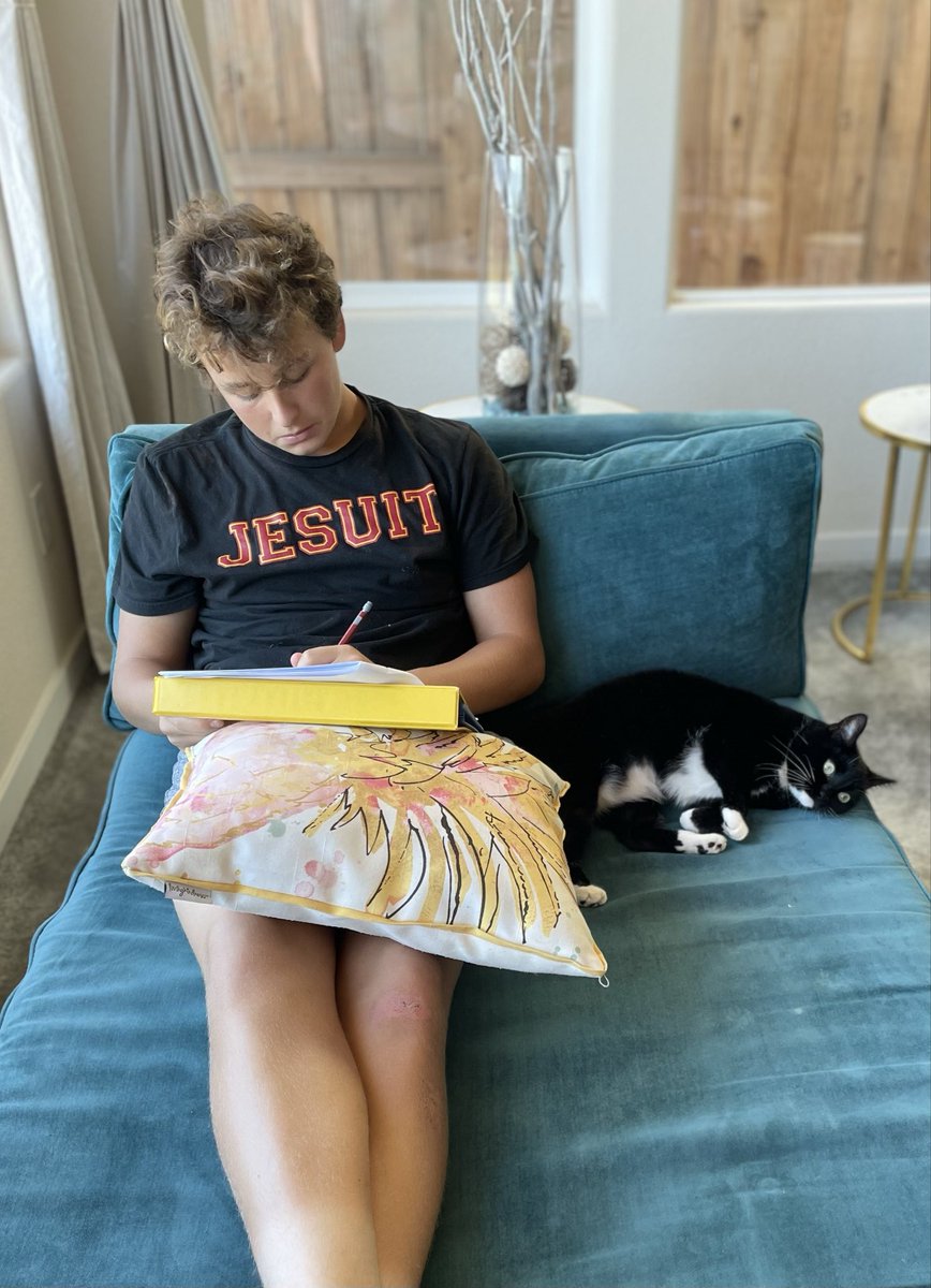 AdrianAntonetti's tweet photo. Workin’ through the weekend with the best study buddy ever. 
#tuxedocat #studentathlete #Classof2029 https://t.co/USRFI57Hnn