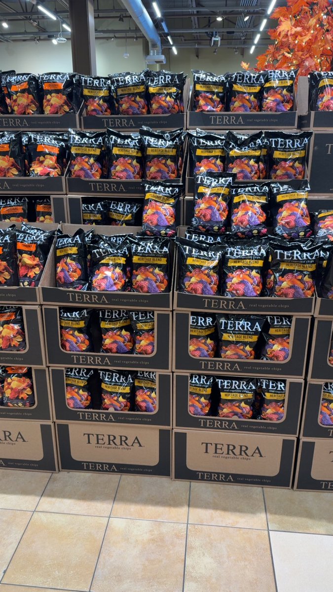 He’s everywhere… I can’t escape