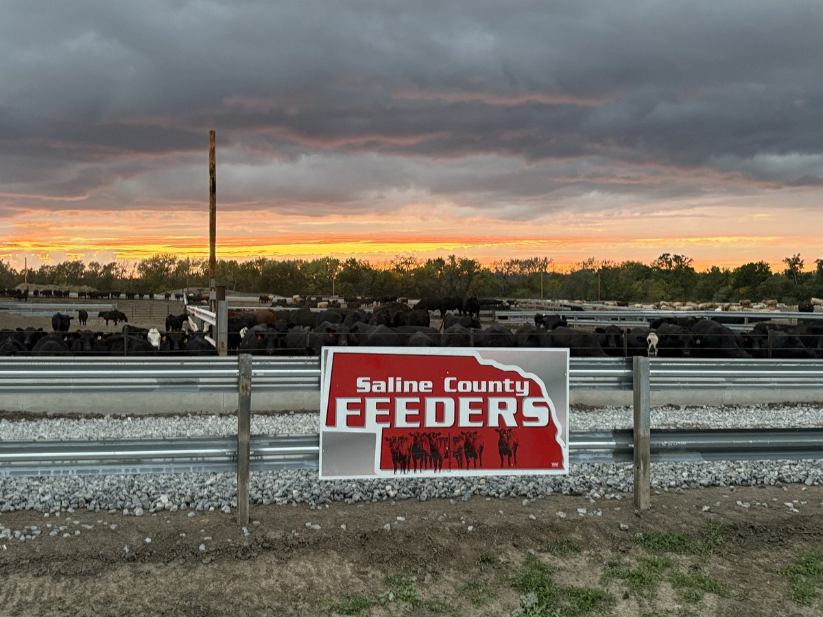 Derek Pohl tweet media