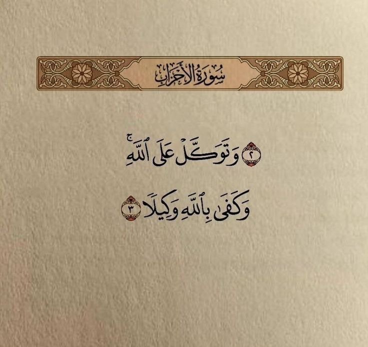 bara_aop's tweet photo. https://t.co/FNJq3mOhaG