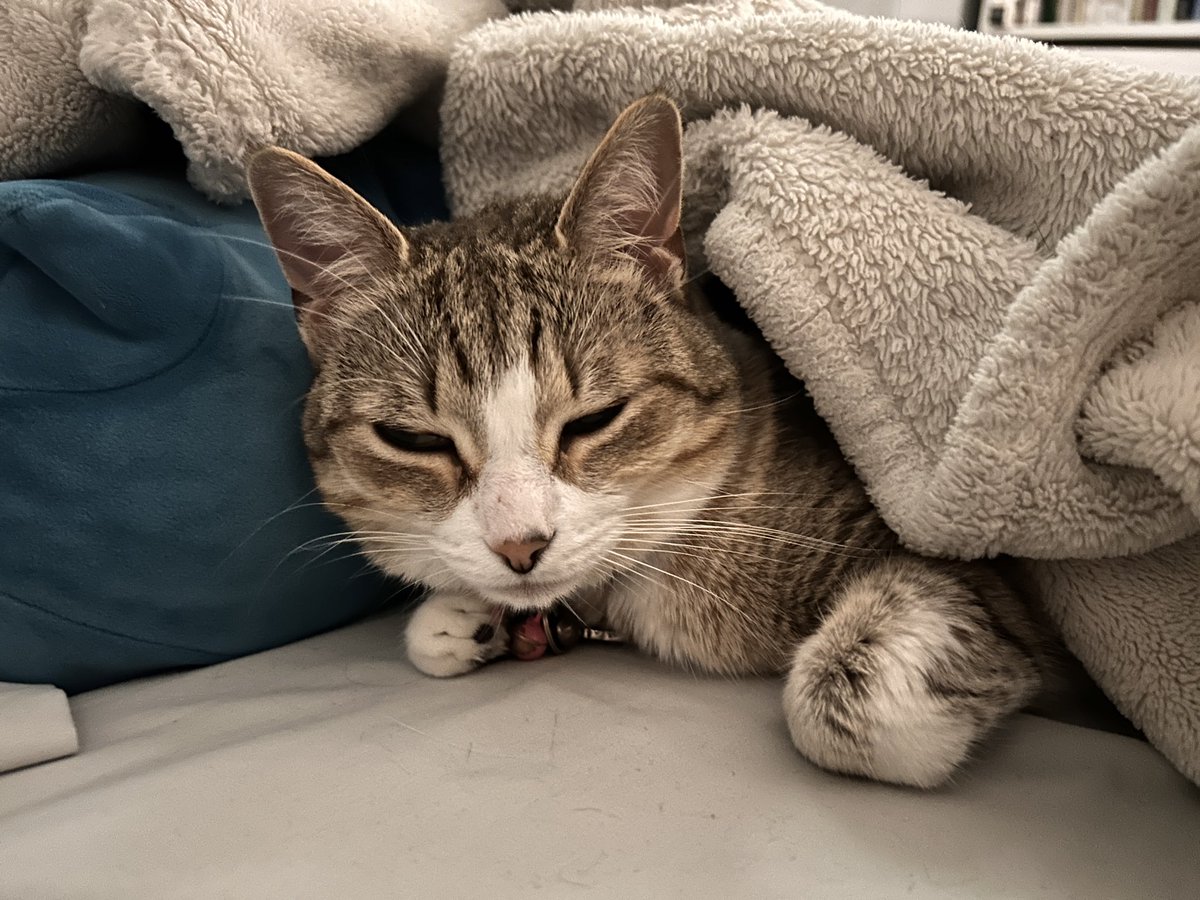 she was so cute and snuggling this morning