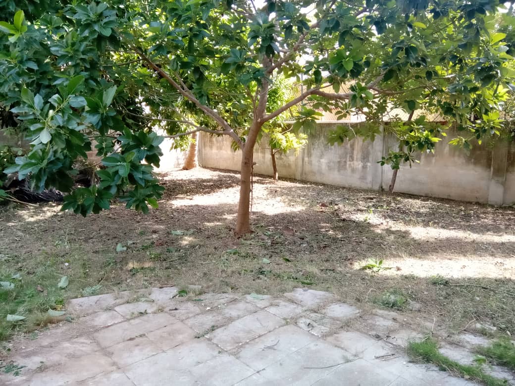 Seguimos trabajando en la limpieza y embellecimiento de nuestras sedes. Hoy le tocó a la #FDIM y seguimos contribuyendo a que #LaHabanaDeTodos sea una ciudad maravilla, limpia y disciplinada. ¡T@DAS podemos, cada cual haga su pedacito y todo será más rápido.
#MujeresEnRevolución