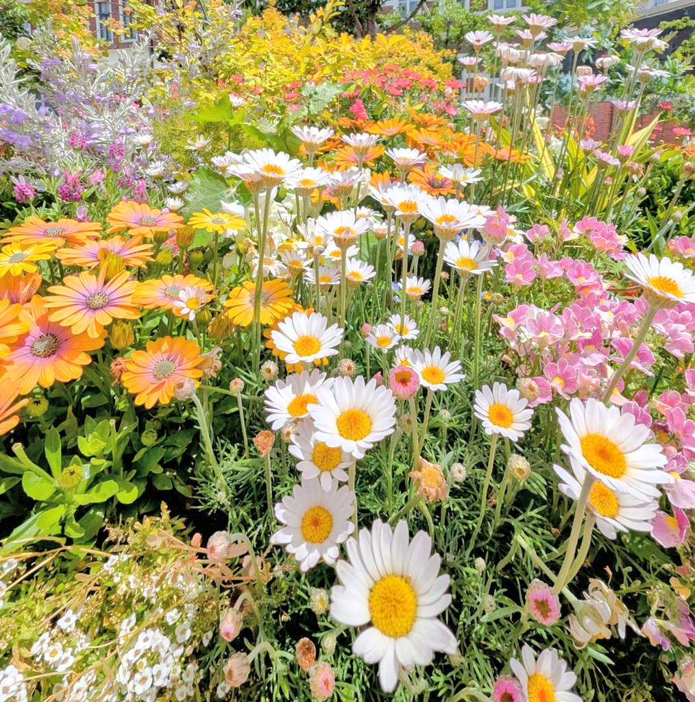 tea 𓂃 ⋆͛*͛ 𓇨𓍌 tweet media