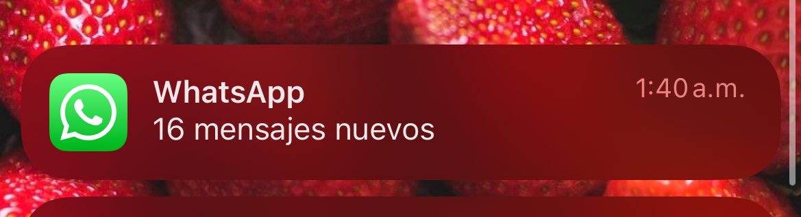 Mi chat restringido ✨✨✨✨