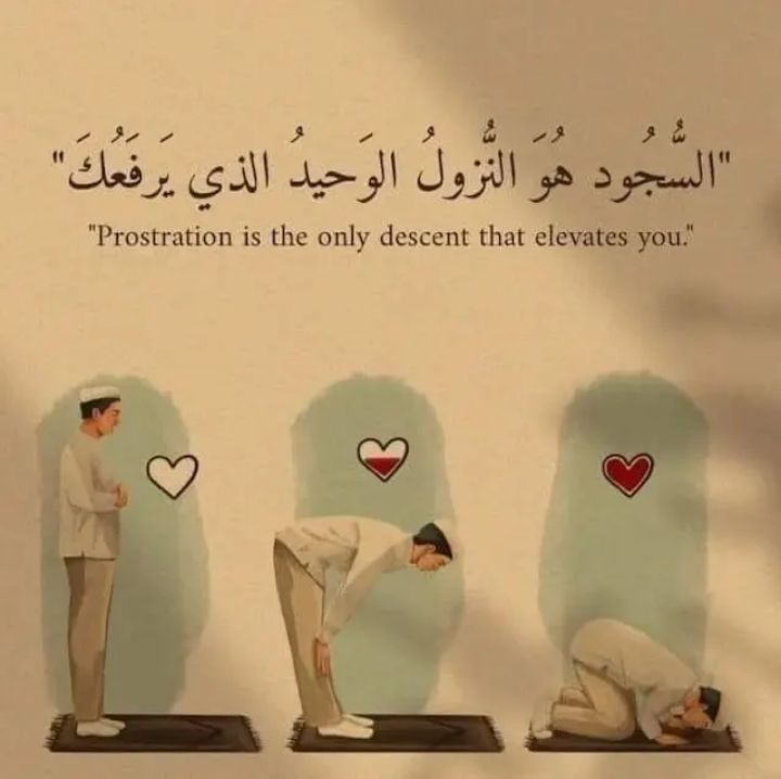 ورقـيات (@1a_610) on Twitter photo 