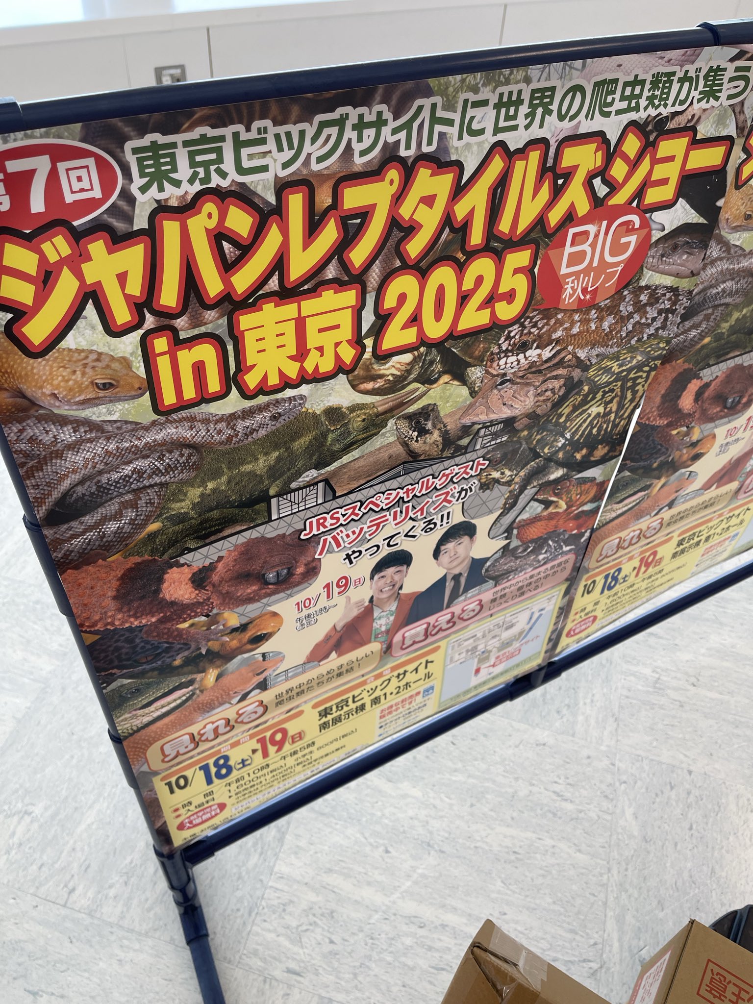 隣人@ZYTOKINE / 秋例大祭新譜アリ - て01a / 紅楼夢 あ07a