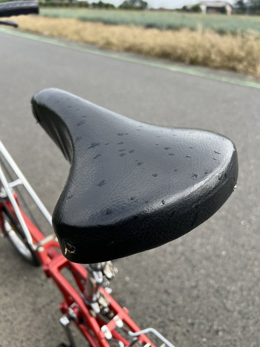 雨っす💢