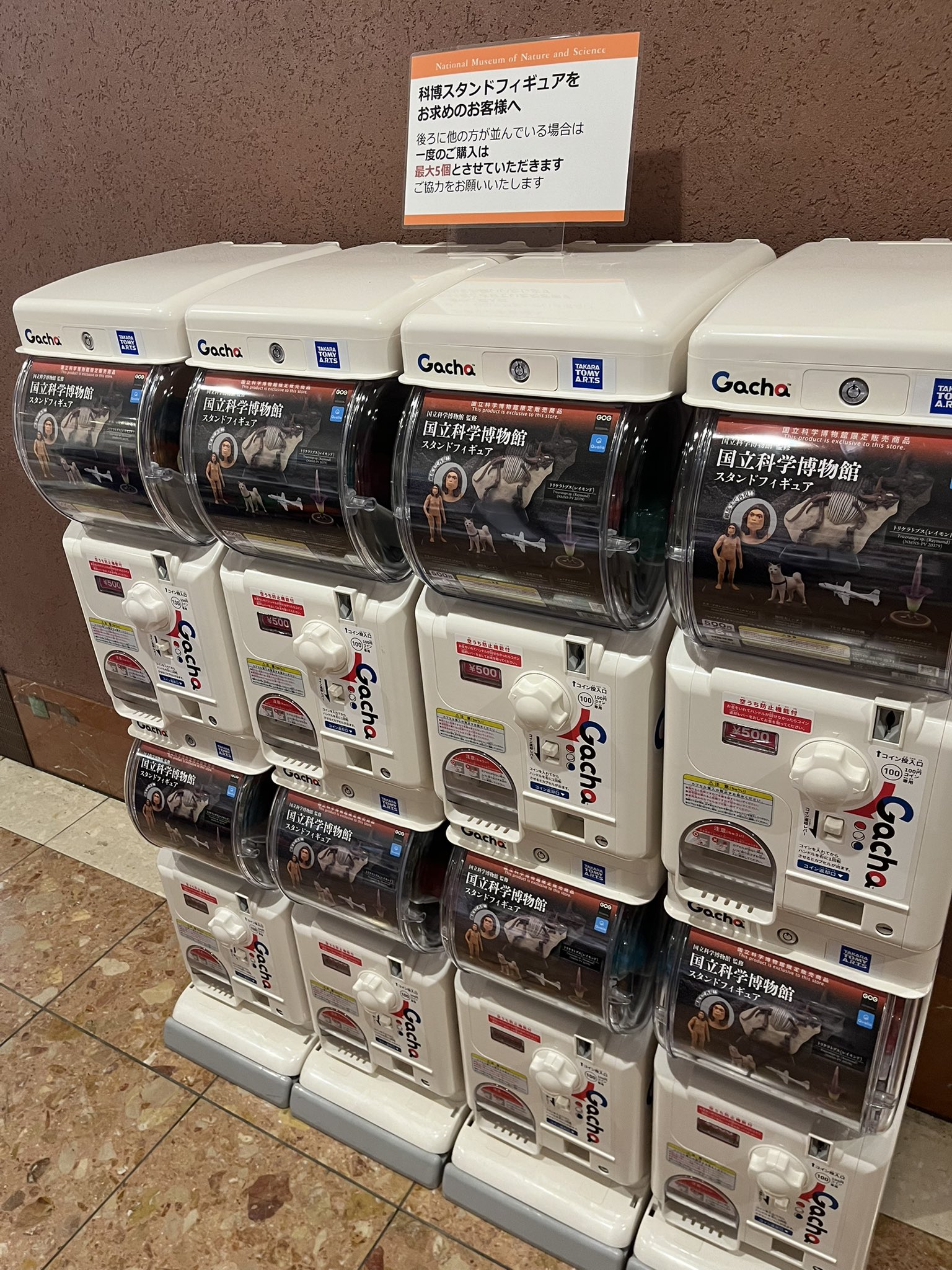 キンケツゥ・ナウ on X: 