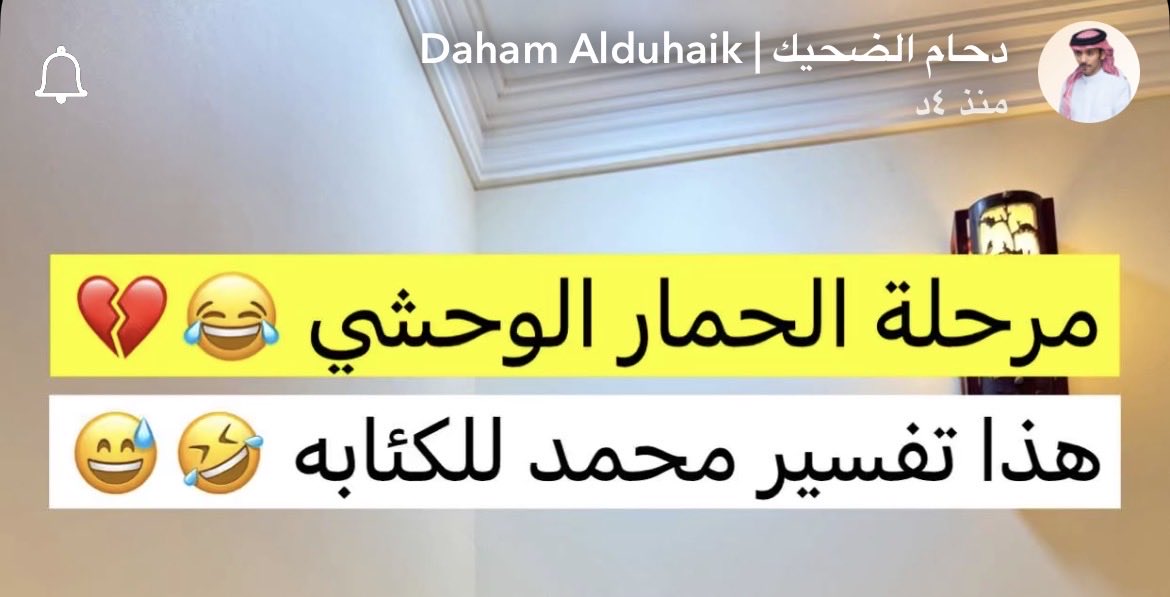 السنابه الاخيره اللي تقطع الأمل 🥲 #دحام_الضحيك