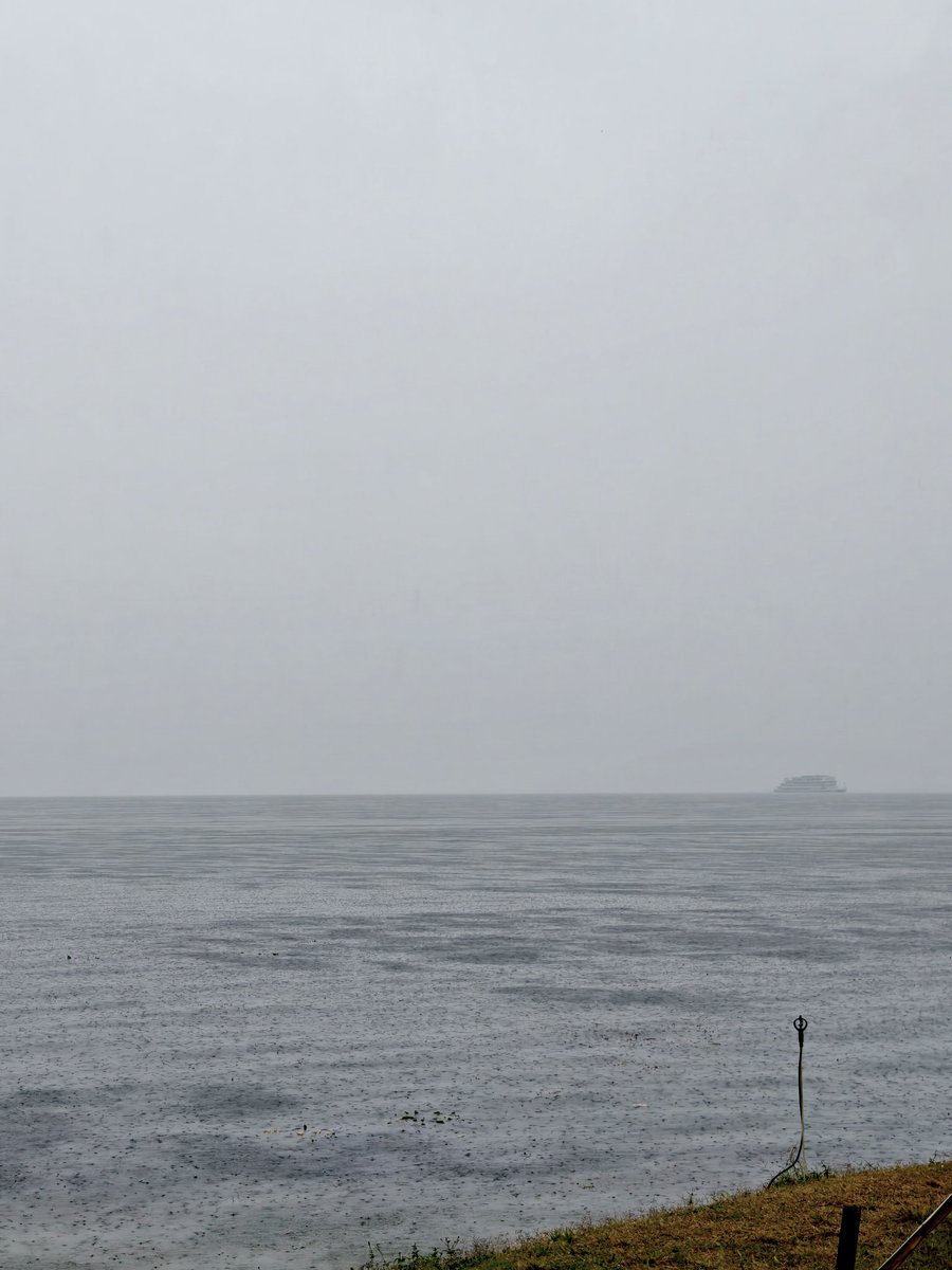 Misaed108788's tweet photo. 讨厌下雨🌧️ https://t.co/ZZna9M5smc