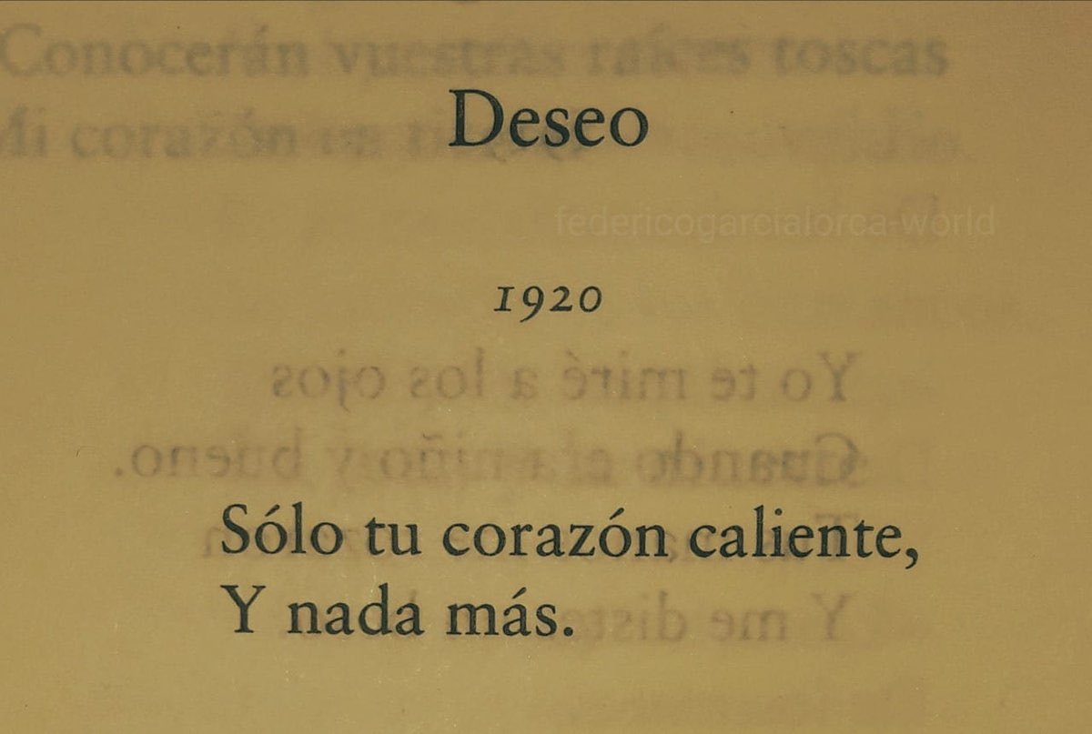 Federico García Lorca de 22 años.