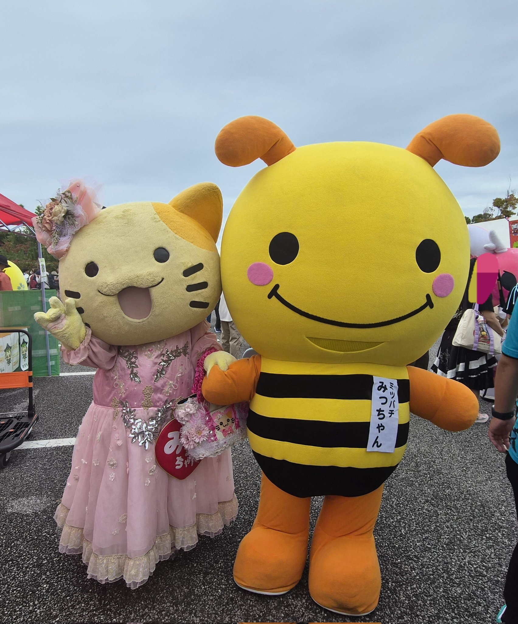 ミツバチみっちゃん【公式】 on X: 