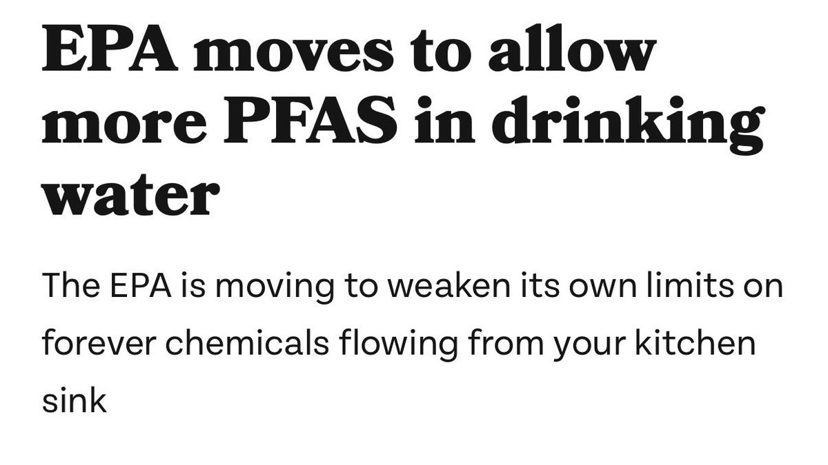 We live in the worst timeline