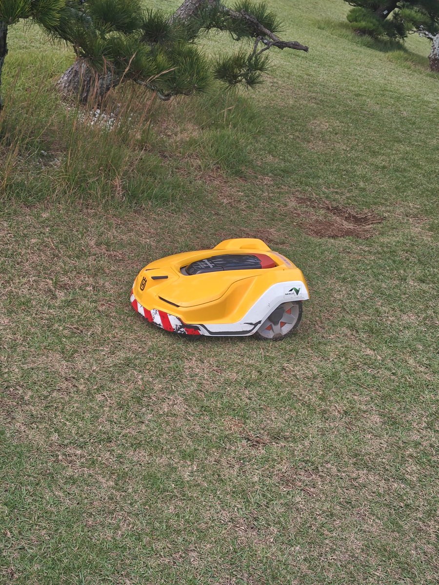 おず@バイクと車 (@oz_zxrider) / Posts / X