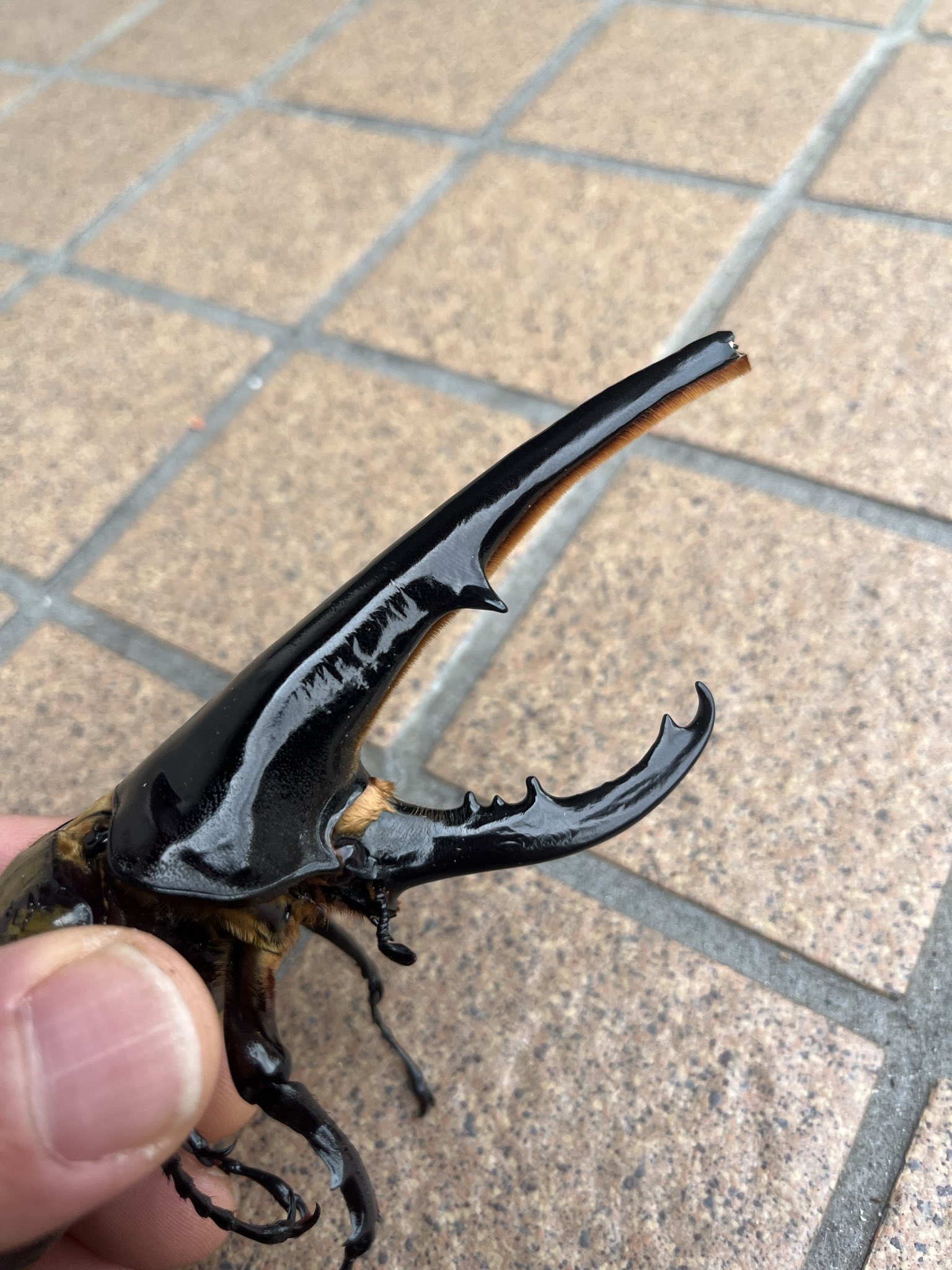 かむいと ZARA NEW HIGH-WAISTED FULL LENGTH Z1975 STRAIGHT LEG JEANS