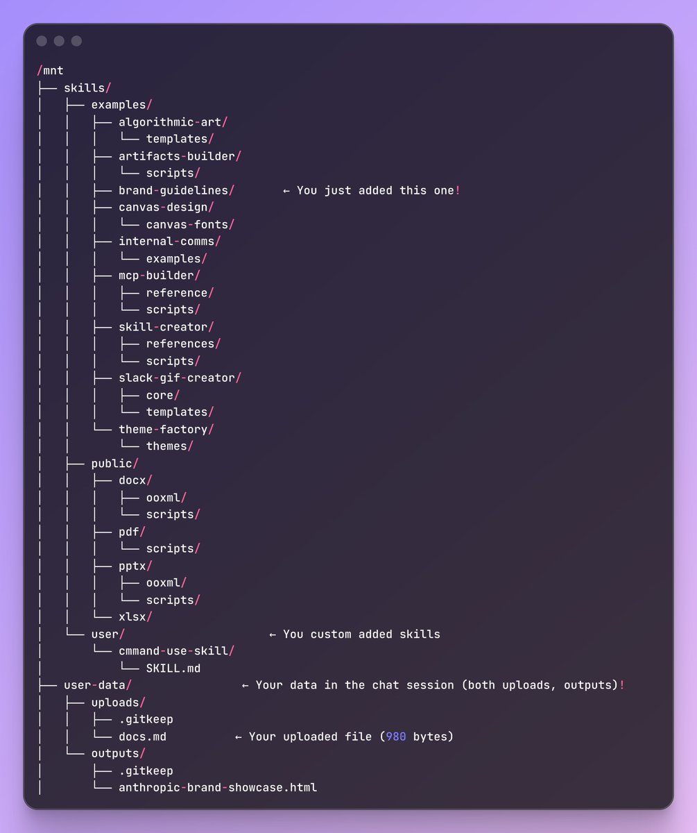 claude skills virtual computer default file structure
