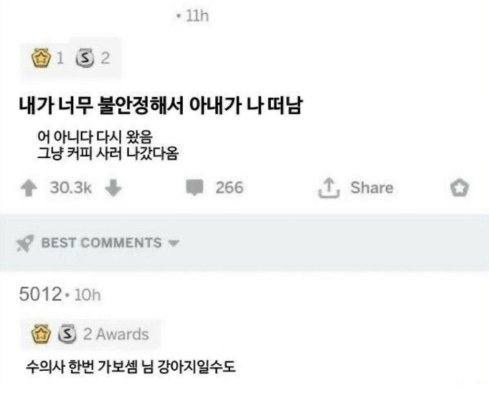분리불안 강아..