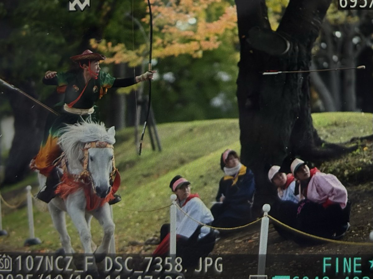 xkim99's tweet image. この組み合わせでもZfのAF-C+高速連写(拡張)で流鏑馬を充分に追従出来ておりますね…☺️