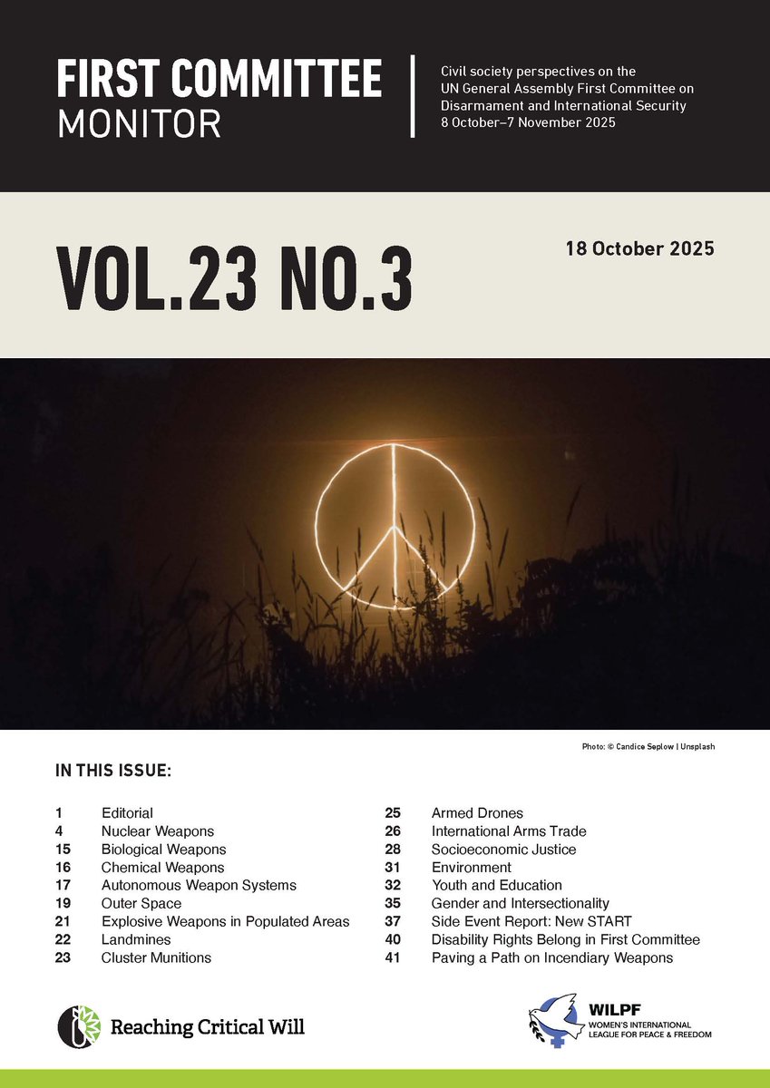 Reaching Critical Will tweet media