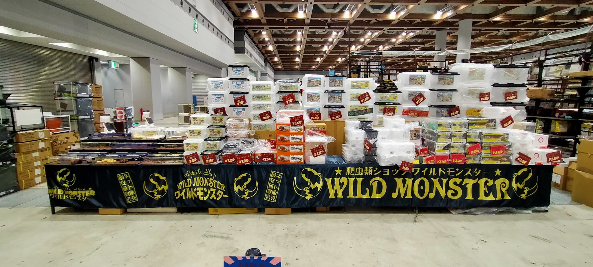 爬虫類ショップ WildMonster (@webmast76129166) / X