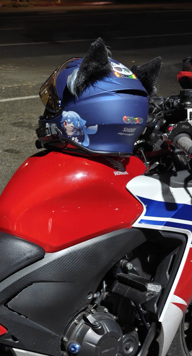 Apfolve's tweet image. Repping @baovtuber lol