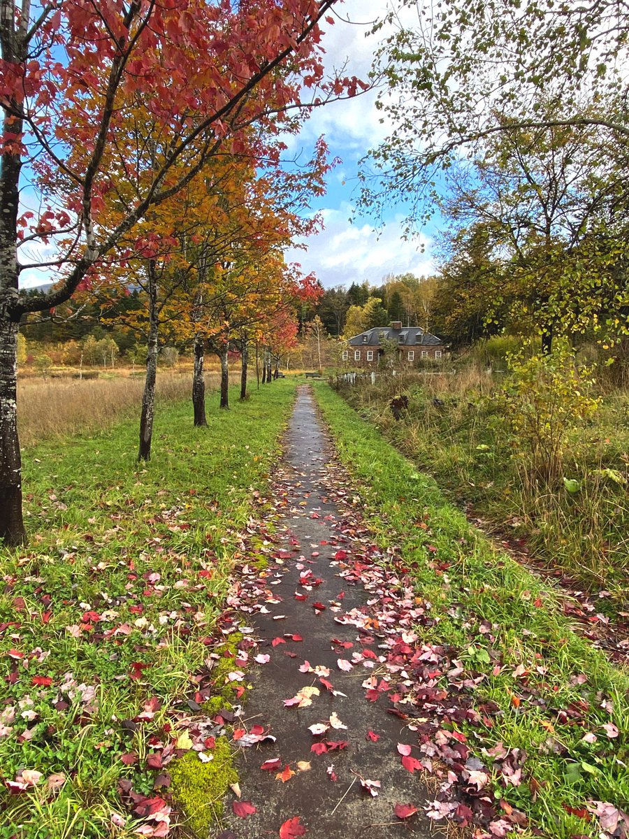 アヴォンリー ポスト開局しております。紅葉が最高に美しいです。暖かくしていらしてくださいね。

#avonleapostアンとダイアナの手紙屋さん
#カナディアンワールド
#芦別市