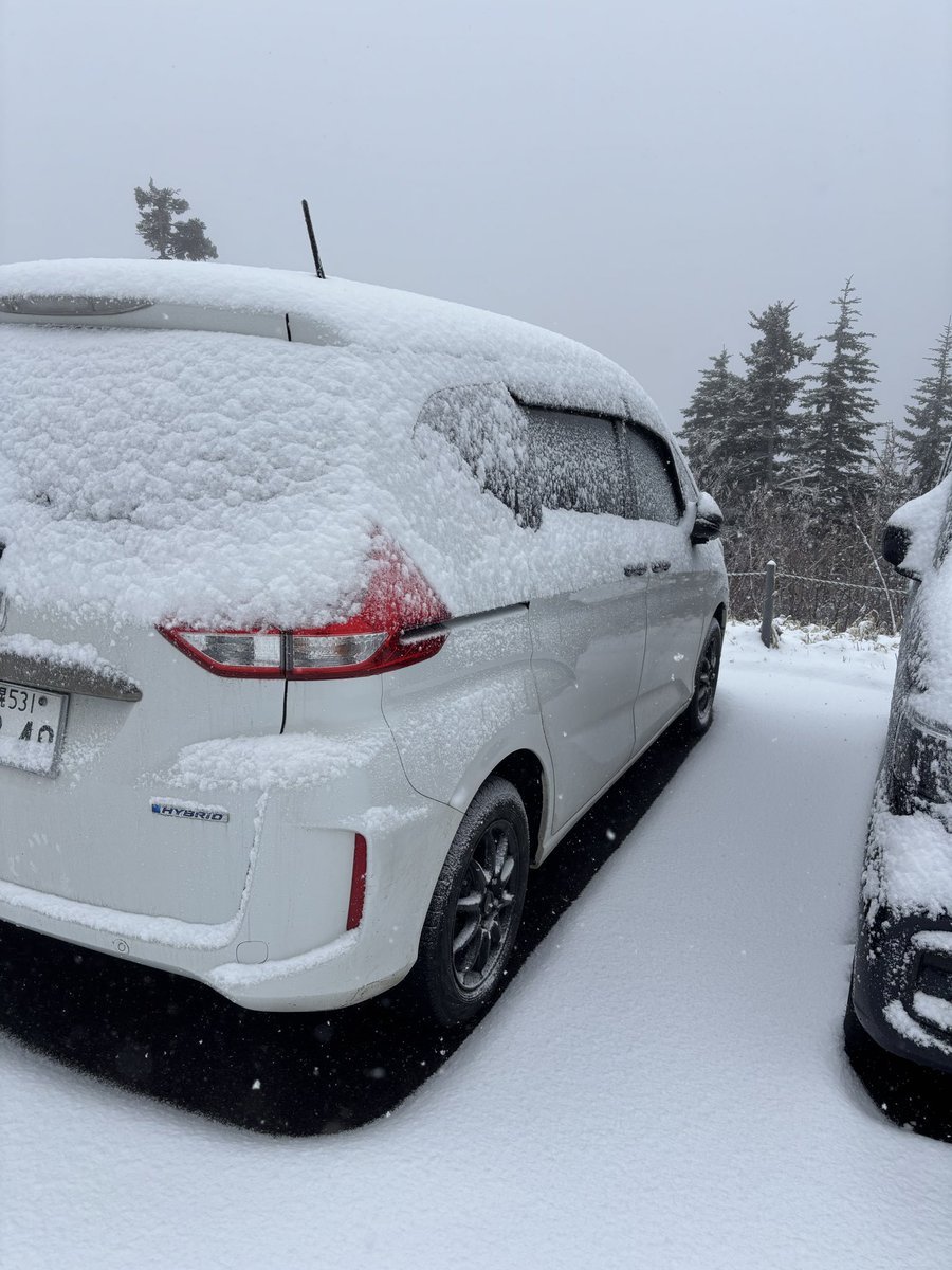 やっしー＠いよいよふってまいりました。 tweet media