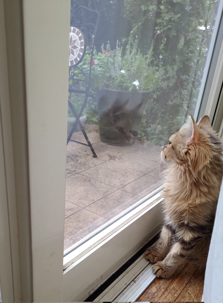 洸村静樹 Seiju Komura on X: 