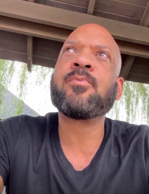 Monarchs 🔙🔜 tweet media