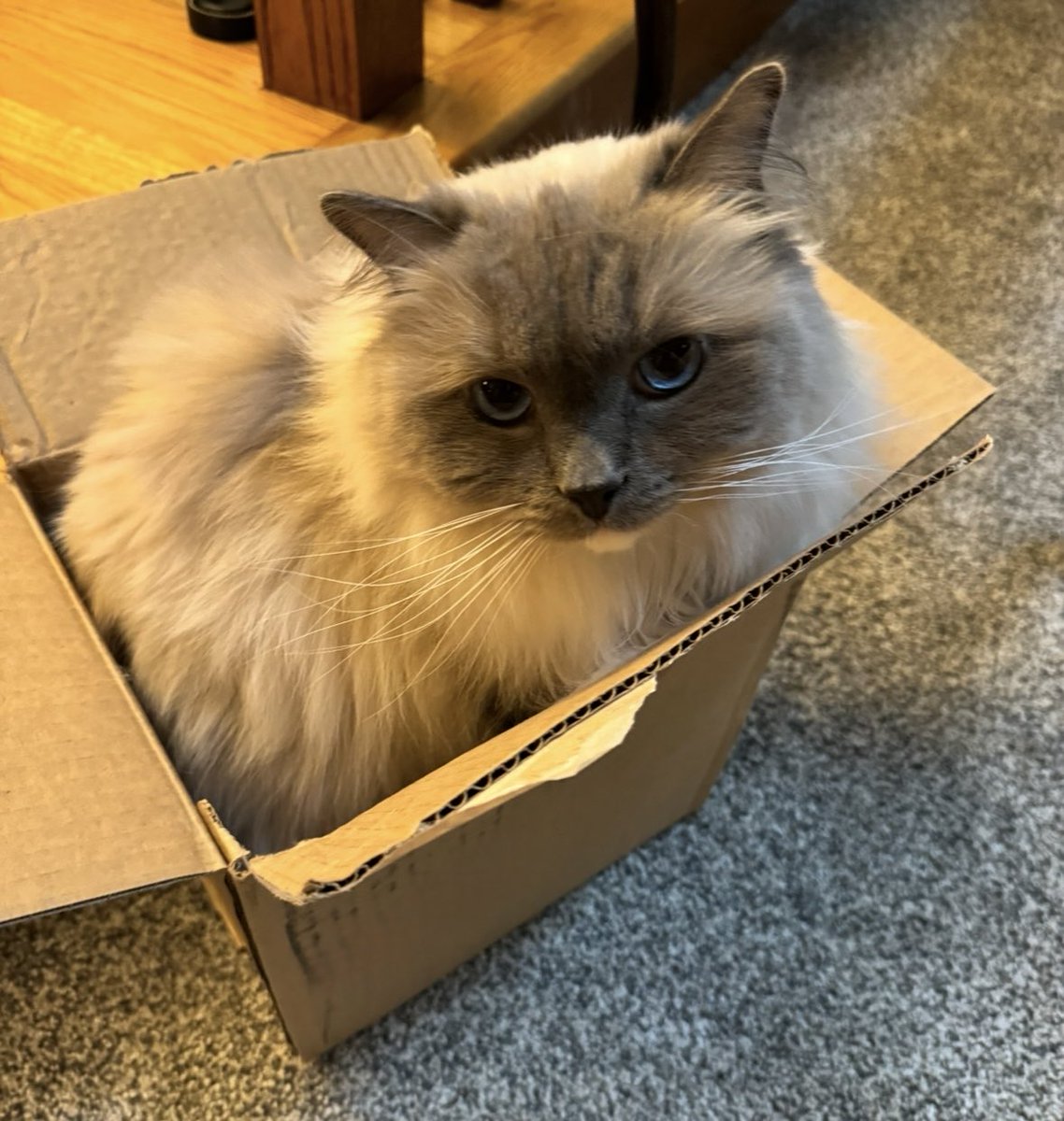 It ready for bed?!🤷‍♂️😴🌙🤠