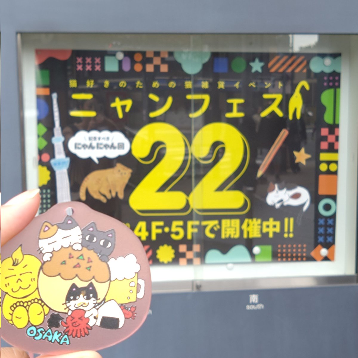 みけねこ。 (@mike_myi) / Posts / X