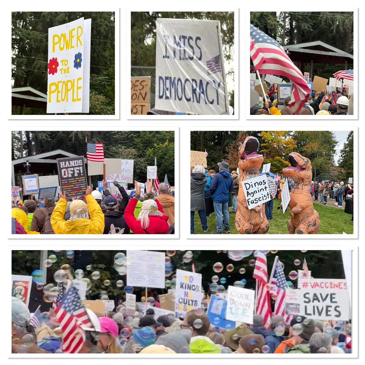 Deb Caletti tweet media