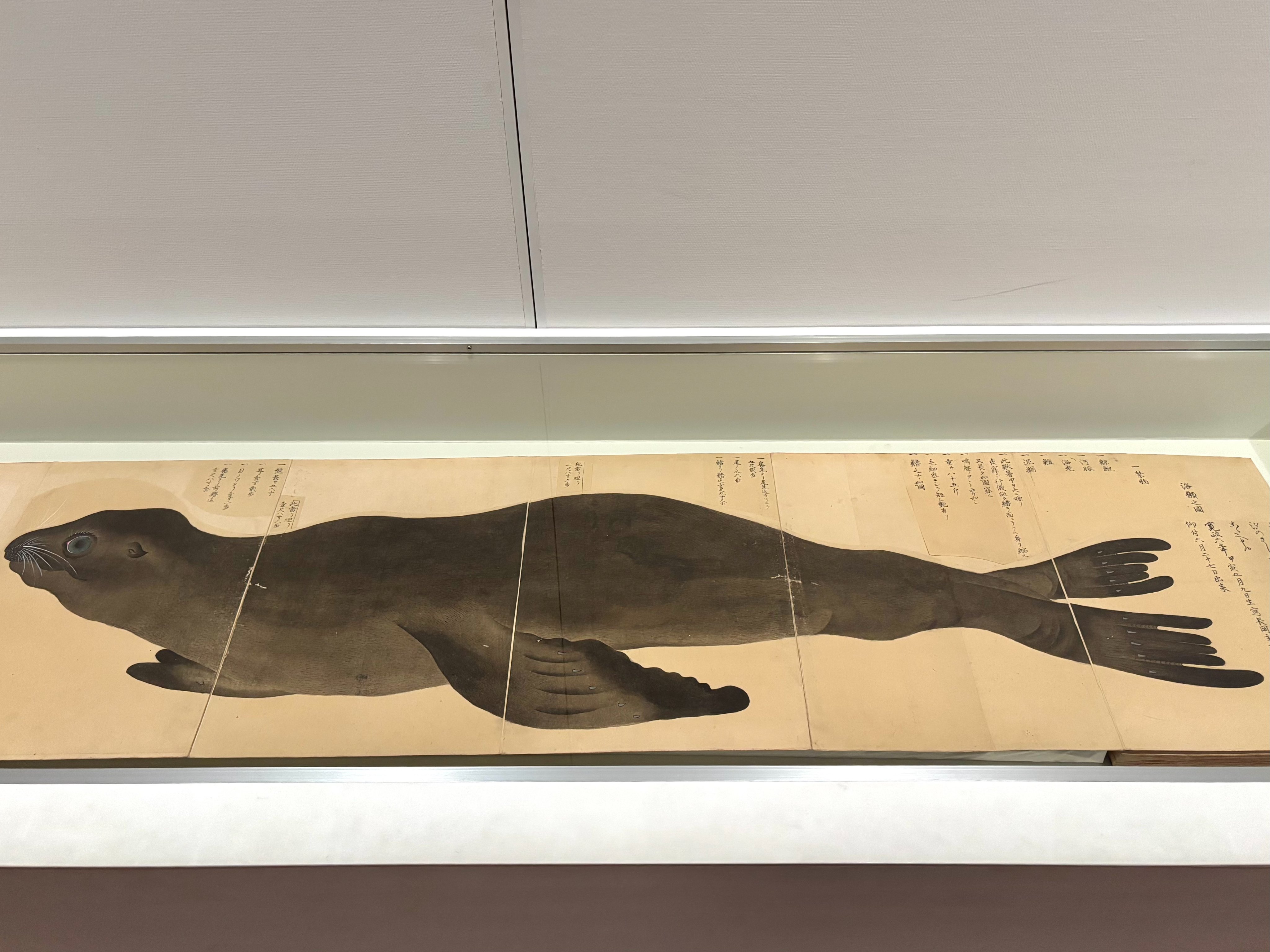 公式】鳥取県立美術館 on X: 