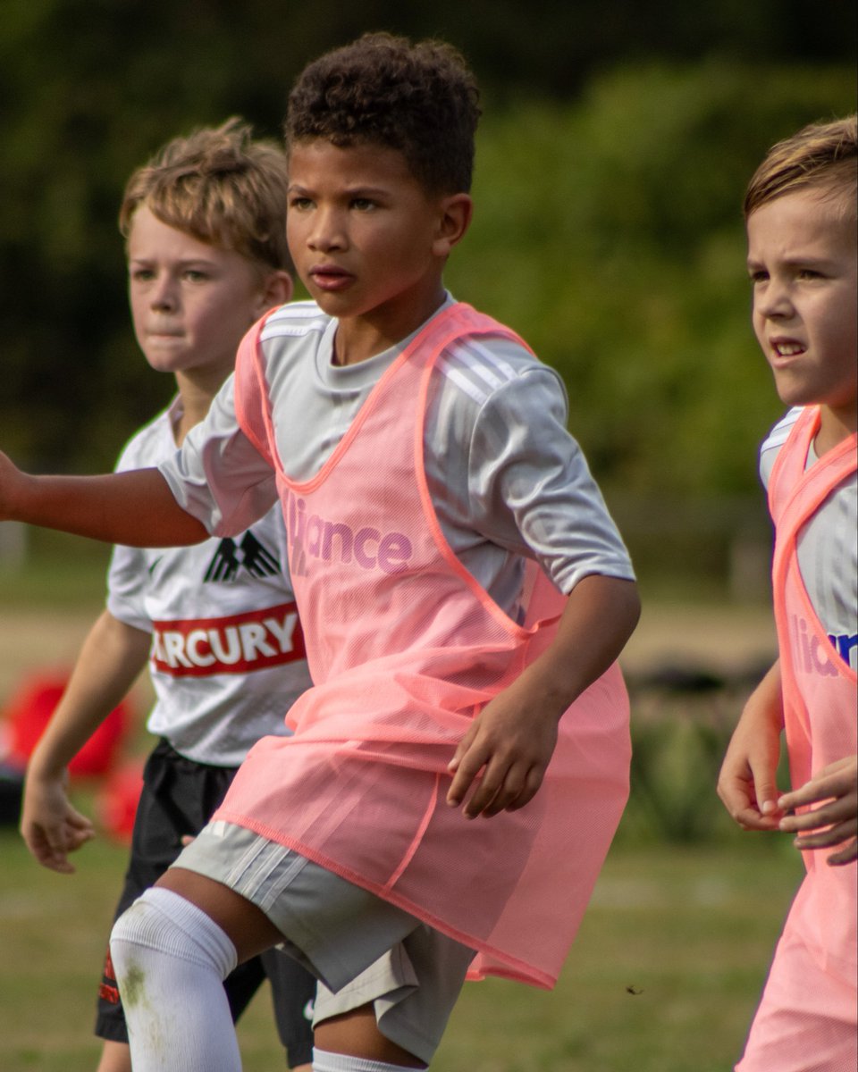 Alliance Cincinnati tweet media