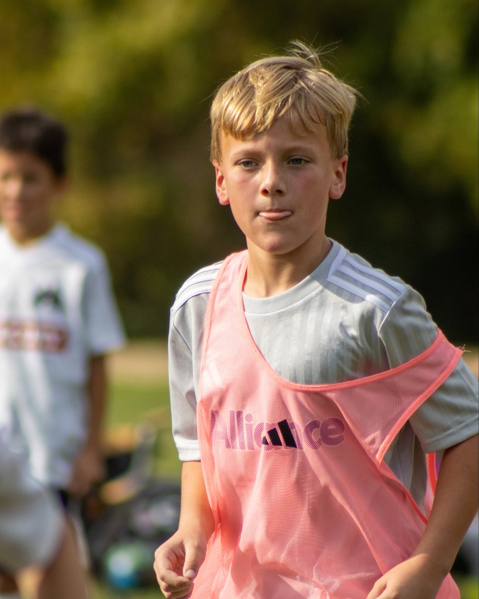 Alliance Cincinnati tweet media