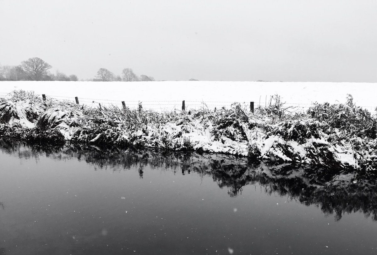 A photo I took last winter.