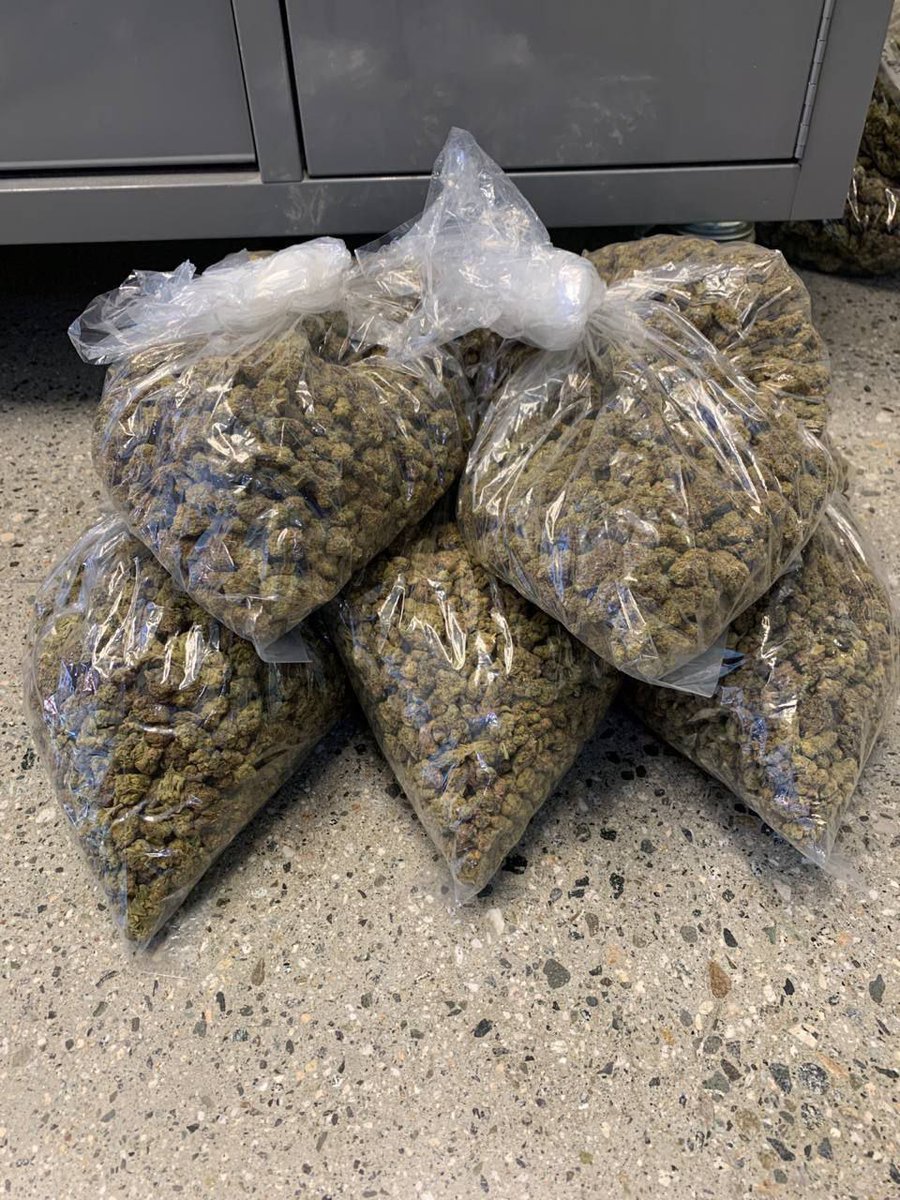 Cali___Plug's tweet photo. O3 CLUB☘️☘️☘️:
5LB mix indoor smalls for 2000

2 ICC
2 SS SHERB
1 cereal https://t.co/vIuS31j3ns