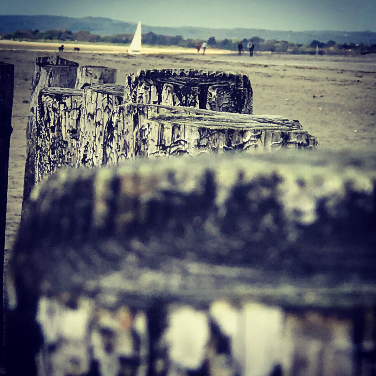 A photo I took at the beach.