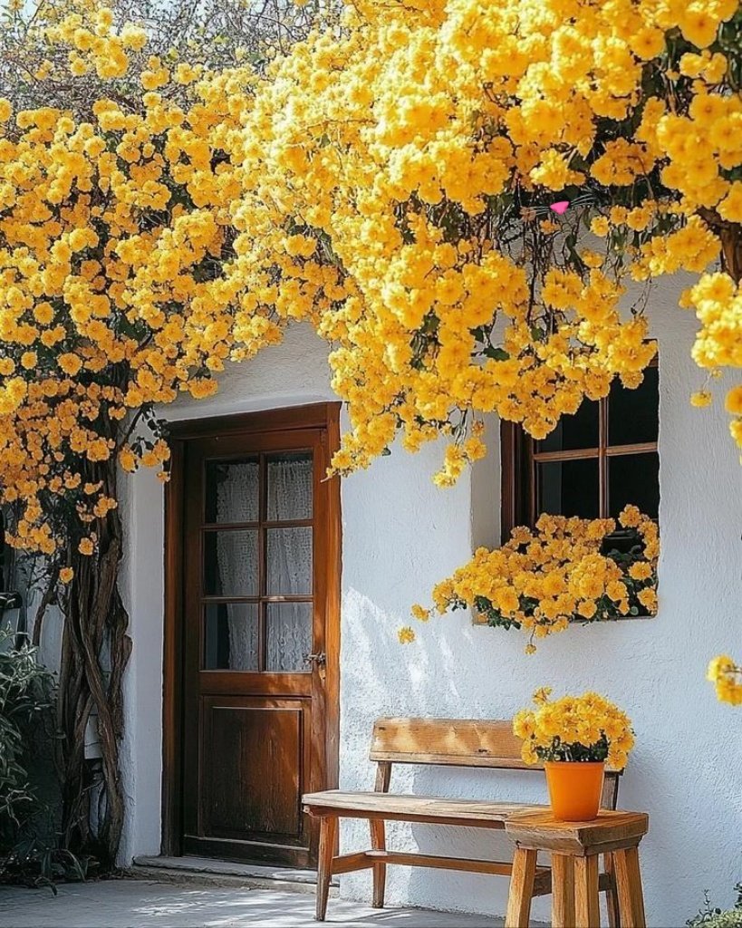 💛🌼Quiet Sunday for everyone 💛🌼